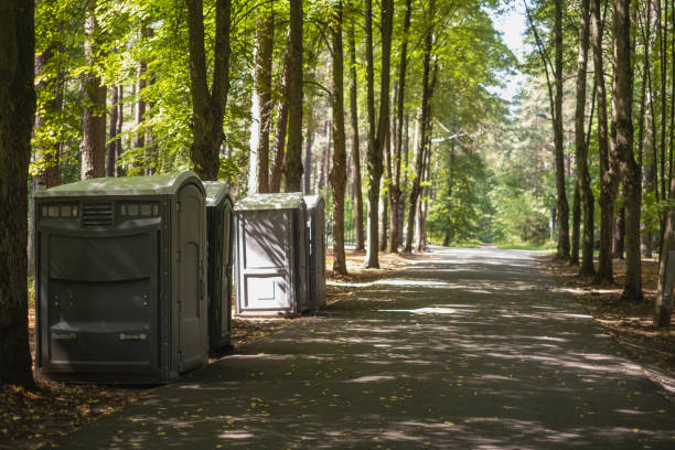 Best Sanitation services for porta potties  in Lewes, DE